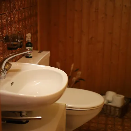 Casa Plaun Martin Dağ evi Ruschein