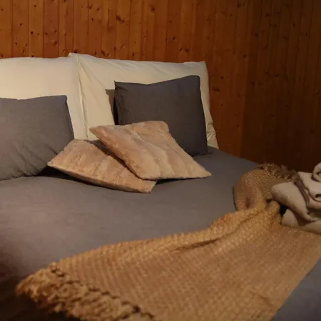 Casa Plaun Martin Dağ evi Ruschein